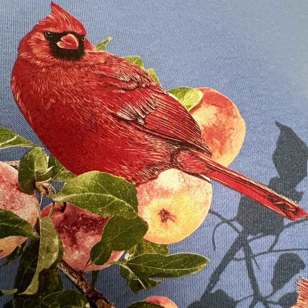 Vintage Womens Sweatshirt Sm Red Bird Cardinal Graphic Cottagecore Morning Sun - Picture 3 of 8